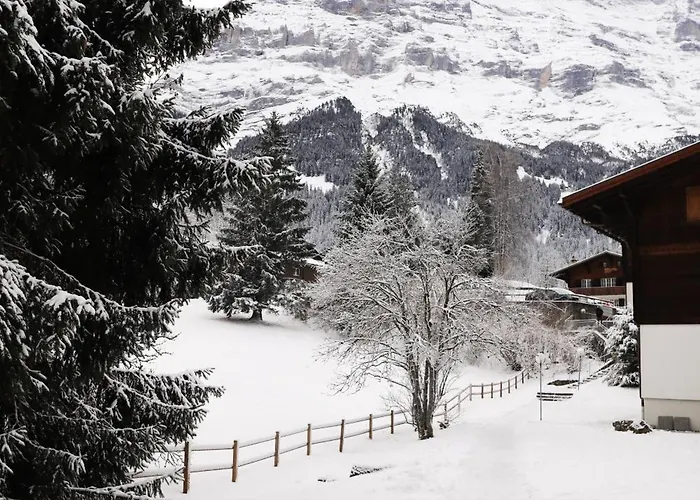 Brand New, 5min To Paradise ! * Grindelwald