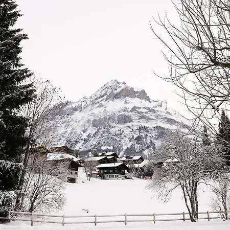 Brand New, 5min To Paradise ! Grindelwald