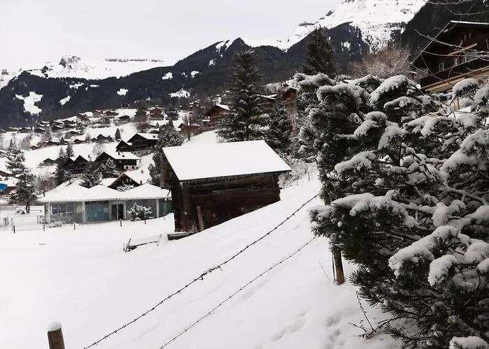 Brand New, 5min To Paradise ! Grindelwald