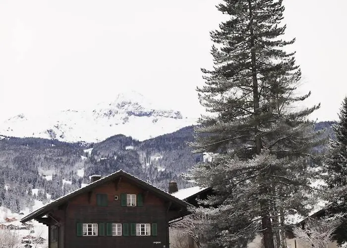 Brand New, 5min To Paradise !